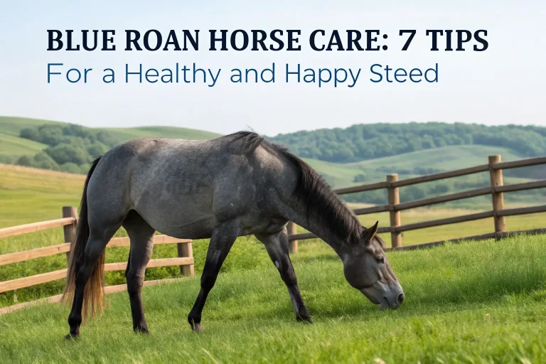 blue roan horse