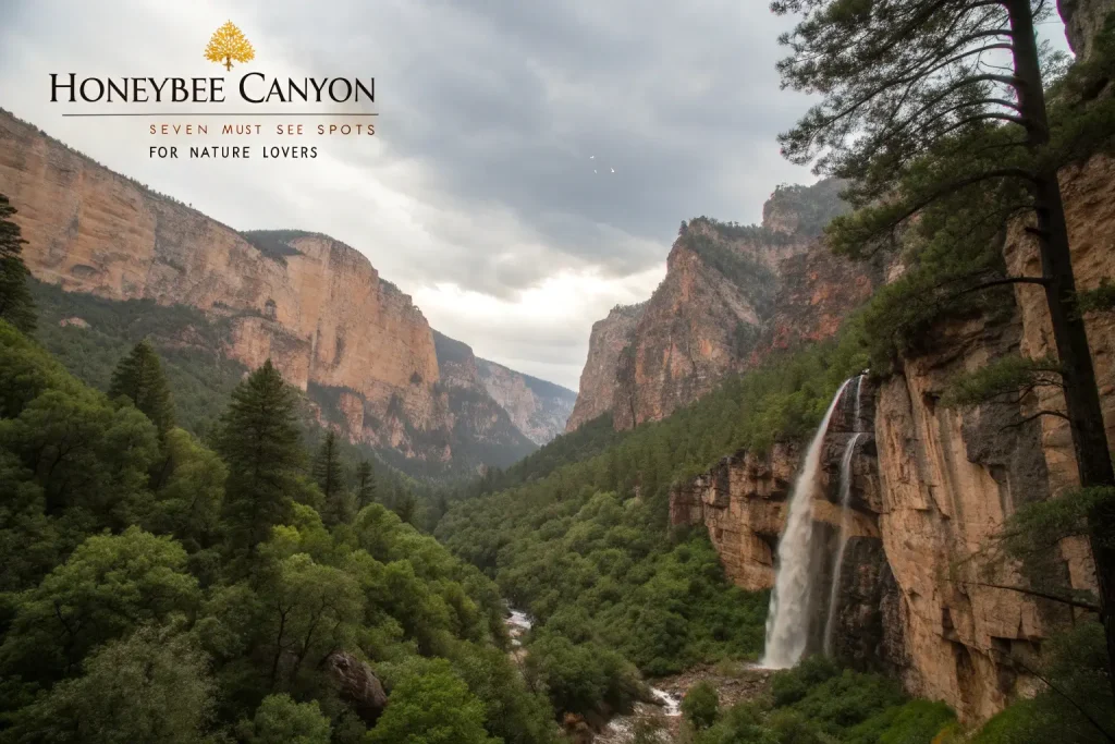Honeybee Canyon Exploration: 7 Must-See Spots for Nature Lovers 2 honeybee canyon