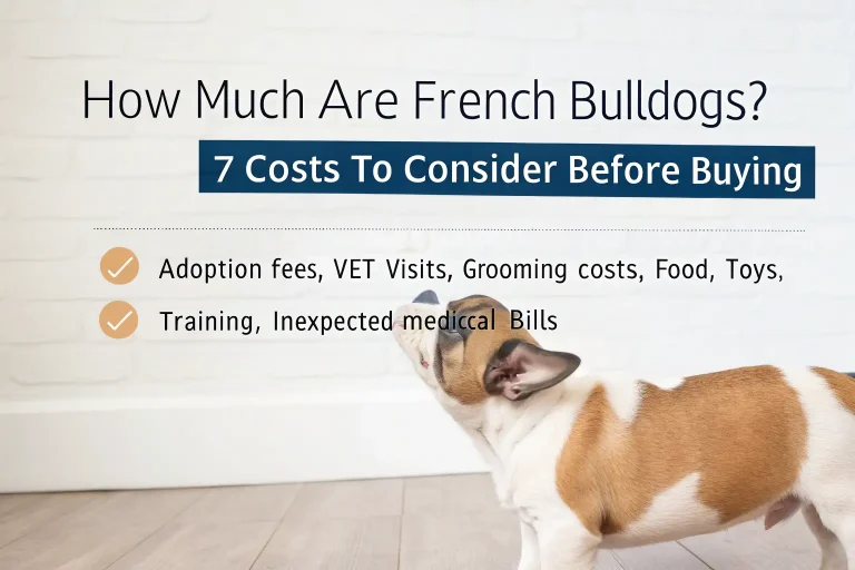 how much are french bulldogs