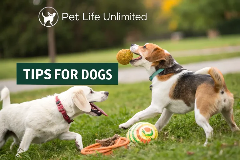 pet life unlimited that help dogs